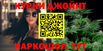 шишки Новозыбков