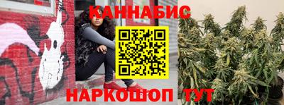 шишки Новозыбков
