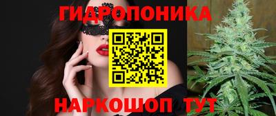 дмт Новодвинск