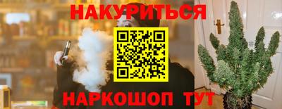 дмт Новодвинск