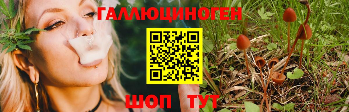 Галлюциногенные грибы мицелий Среднеуральск