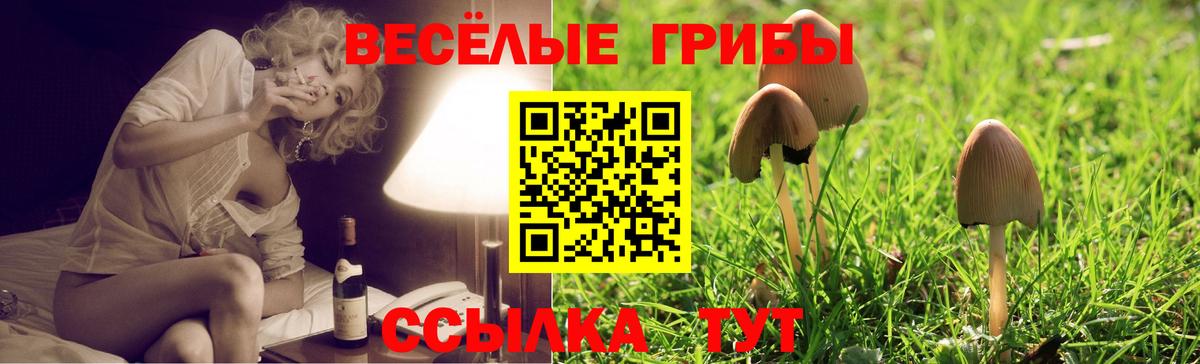 Псилоцибиновые грибы Psilocybine cubensis  Вход с VPN  купить  цена  Среднеуральск 